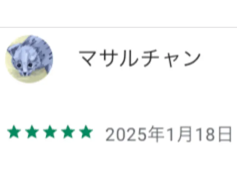 Google Playでの実際のレビュー
